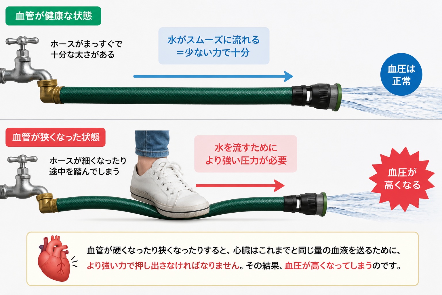 ホースと圧力