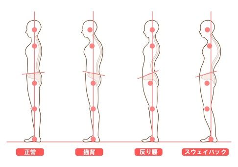 姿勢の解説